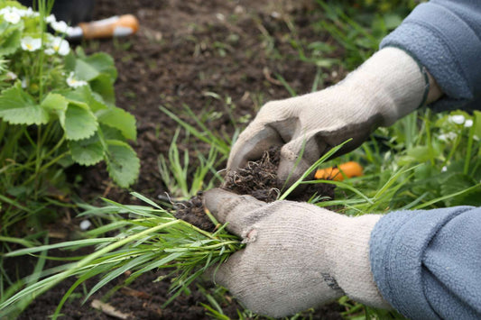 Small gardening service